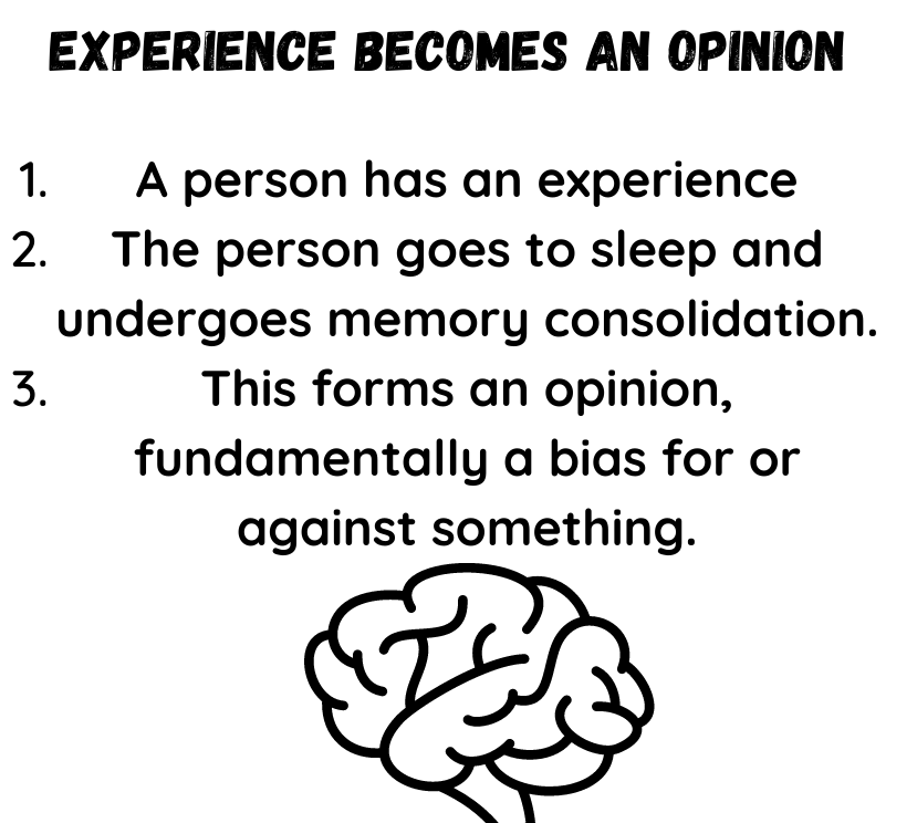 Your Opinions Form When You Sleep And You Should Know What Those